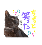 黒猫のえーちゃん♥パート2（個別スタンプ：9）