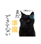 黒猫のえーちゃん♥パート2（個別スタンプ：12）
