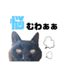 黒猫のえーちゃん♥パート2（個別スタンプ：13）