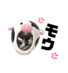 黒猫のえーちゃん♥パート2（個別スタンプ：14）