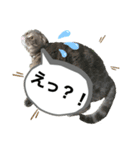 ももっち4（個別スタンプ：1）