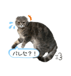 ももっち4（個別スタンプ：2）