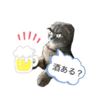 ももっち4（個別スタンプ：4）