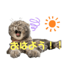 ももっち4（個別スタンプ：8）