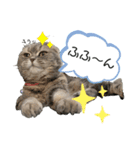ももっち4（個別スタンプ：10）