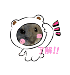 おハムのジョージの日常（個別スタンプ：3）