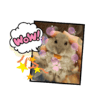 おハムのジョージの日常（個別スタンプ：11）
