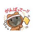 おハムのジョージの日常（個別スタンプ：14）