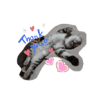 いろなのちゃん2（個別スタンプ：16）