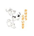 猫好きさん大集合♪(敬語・丁寧語)（個別スタンプ：13）