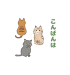 猫好きさん大集合♪(敬語・丁寧語)（個別スタンプ：15）