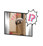 もふもふcoo（個別スタンプ：3）