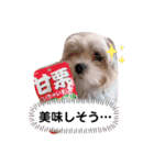 もふもふcoo（個別スタンプ：5）
