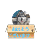 わくわく動物王国3（個別スタンプ：2）