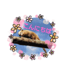 わくわく動物王国3（個別スタンプ：3）