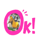 わくわく動物王国3（個別スタンプ：9）