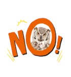 わくわく動物王国3（個別スタンプ：12）