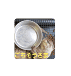 わくわく動物王国3（個別スタンプ：16）