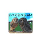 わくわく動物王国3（個別スタンプ：18）