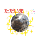わくわく動物王国3（個別スタンプ：20）