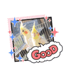 わくわく動物王国3（個別スタンプ：22）