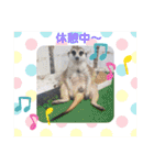 わくわく動物王国3（個別スタンプ：26）