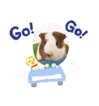 わくわく動物王国3（個別スタンプ：32）