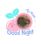 わくわく動物王国3（個別スタンプ：33）