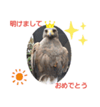 わくわく動物王国3（個別スタンプ：37）