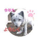 わくわく動物王国3（個別スタンプ：38）