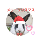 わくわく動物王国3（個別スタンプ：39）