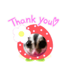 かわいいフクロモモンガ小豆 -Sugarglider-（個別スタンプ：1）
