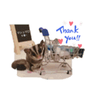 かわいいフクロモモンガ小豆 -Sugarglider-（個別スタンプ：2）