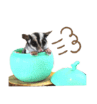 かわいいフクロモモンガ小豆 -Sugarglider-（個別スタンプ：16）