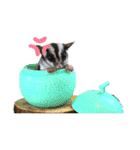 かわいいフクロモモンガ小豆 -Sugarglider-（個別スタンプ：17）