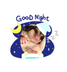 かわいいフクロモモンガ小豆 -Sugarglider-（個別スタンプ：18）
