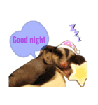 かわいいフクロモモンガ小豆 -Sugarglider-（個別スタンプ：21）
