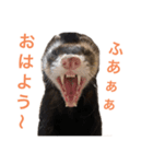 ろあ_いたちの日常vol.2（個別スタンプ：7）