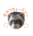 ろあ_いたちの日常vol.2（個別スタンプ：8）