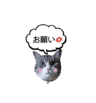 トム＆ピノルナ（個別スタンプ：3）