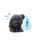 Priscilla..（個別スタンプ：2）