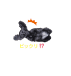 Priscilla..（個別スタンプ：4）