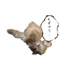 サバの納豆添え（個別スタンプ：7）