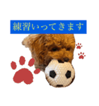 cocomaru550550（個別スタンプ：7）