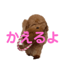 cocomaru550550（個別スタンプ：11）