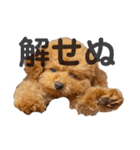 cocomaru550550（個別スタンプ：17）