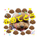 cocomaru550550（個別スタンプ：23）