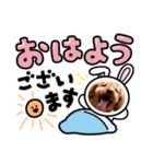 ダックス＆プードル日常（個別スタンプ：5）