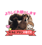 ダックス＆プードル日常（個別スタンプ：8）