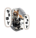 虎太郎くんの日常一声（個別スタンプ：6）